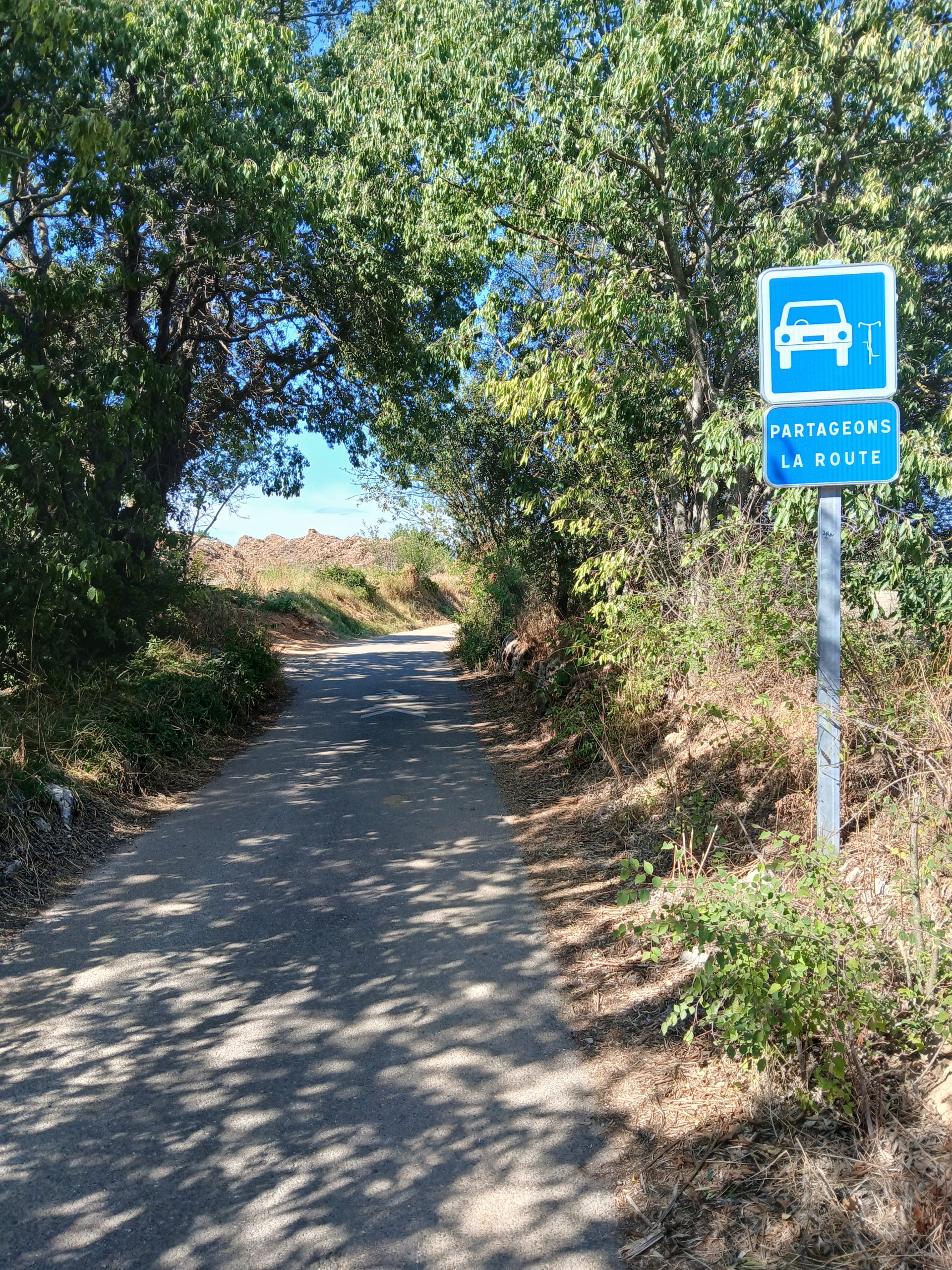 Photo route étroite ombragée par des arbres, avec un panneau bleu « Partageons la route » montrant une voiture et un vélo.