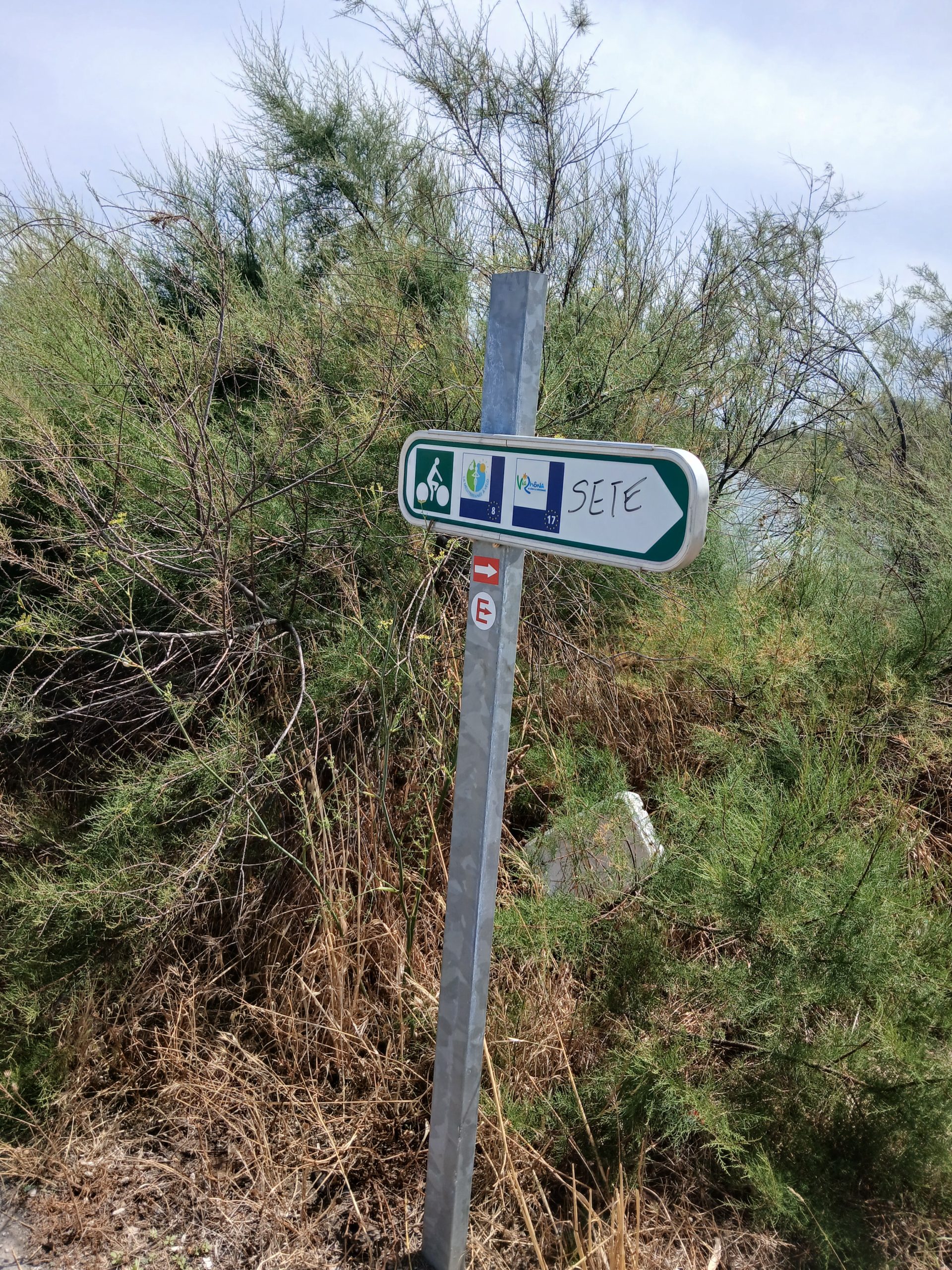 Photo panneau vert et blanc de la ViaRhôna sur un poteau métallique, avec « SETE » écrit au feutre, devant un massif de tamaris.